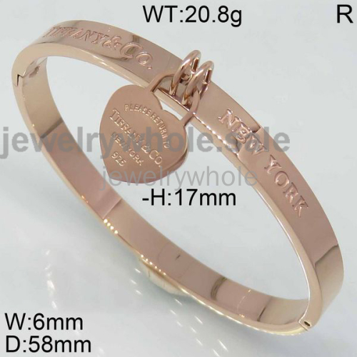 Tiffany Bangle P107354vihb-434