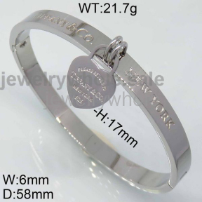 Tiffany Bangle P107355vhnb-434