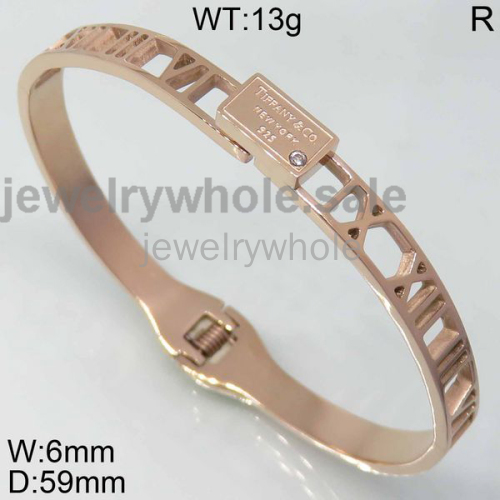 Tiffany Bangle P107469vihb-434