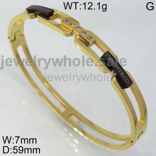 Tiffany Bangle P107479bihb-434