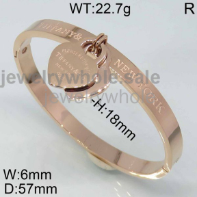 Tiffany Bangle P108922bhpb-473