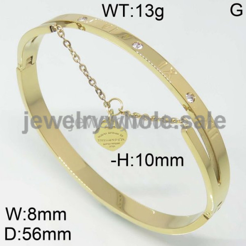 Tiffany Bangle P109070bihb-362