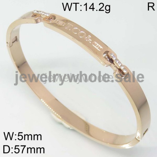 Tiffany Bangle P109073vihb-362