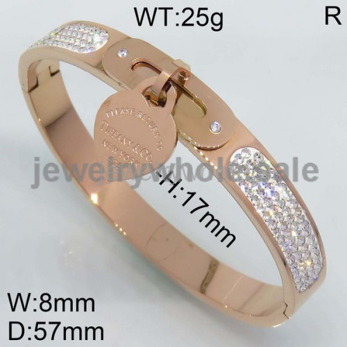 Tiffany Bangle P109141vilb-434