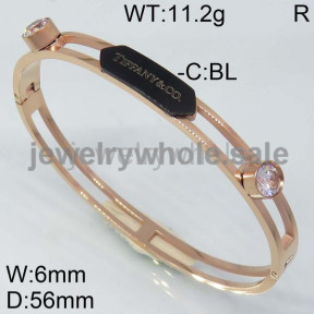 Tiffany Bangle P109144bihb-434