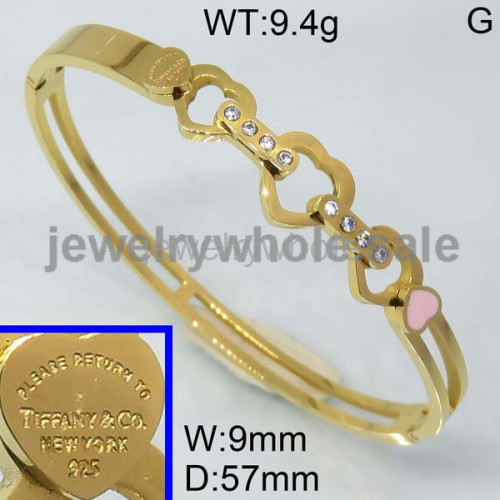 Tiffany Bangle P109146vihb-434