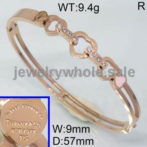 Tiffany Bangle P109147vihb-434