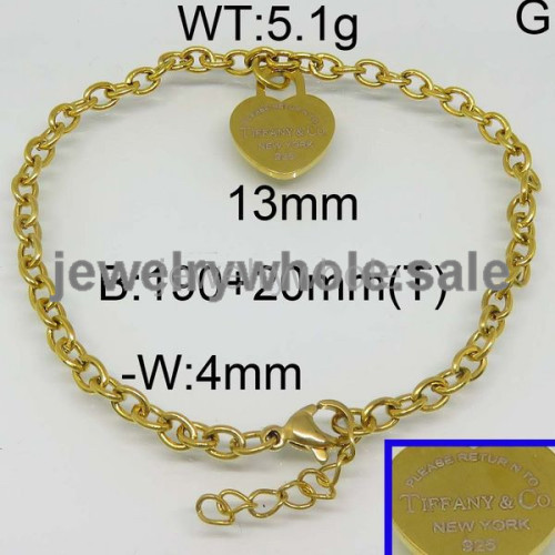 Tiffany Bracelet  PB111249vapa-377