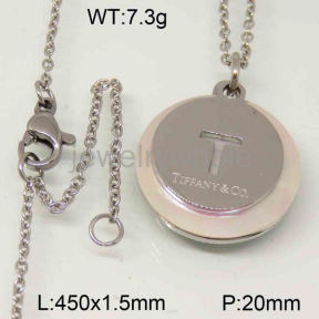 Tiffany Necklace  PN118920bhia-322