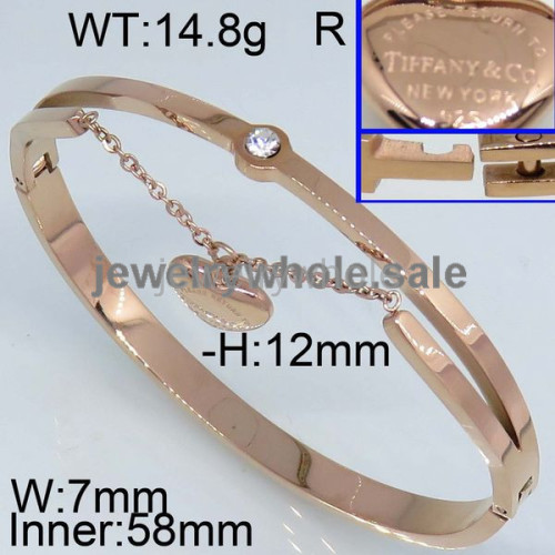 Tiffany BanglePZ109577vjia-322