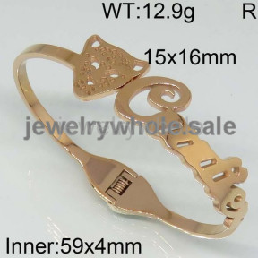 Cartier Bangle  PZ110376viaa-317