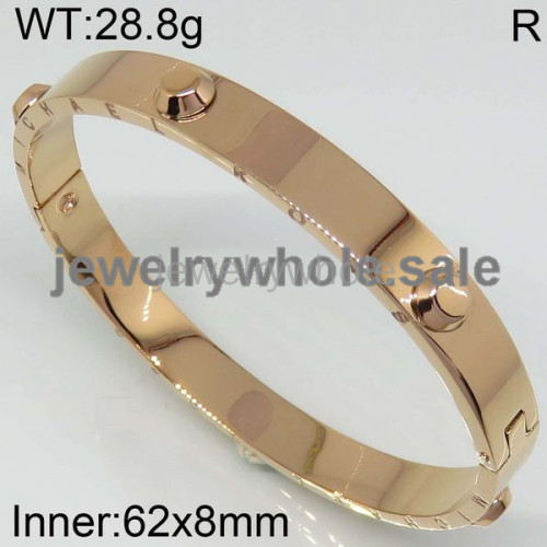 MK Bangle  PZ110478vioa-377