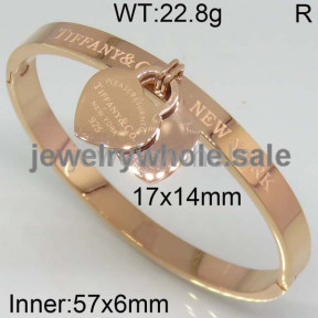 Tiffany Bangle  PZ110540viia-473