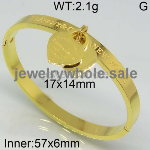 Tiffany Bangle  PZ110541viha-473