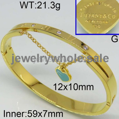 Tiffany Bangle  PZ110542viha-473