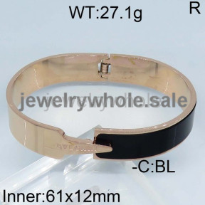  Bvlgari Bangle  PZ110860vika-434