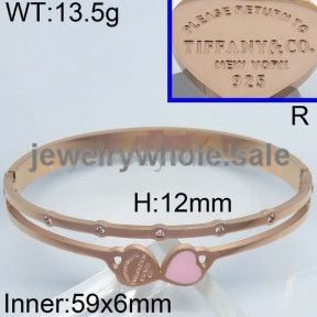 Tiffany Bangle  PZ110871viia-434