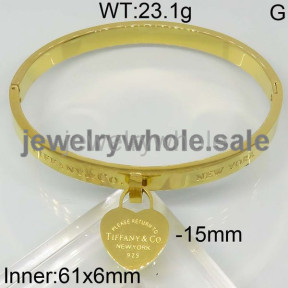 Tiffany Bangle  PZ111838vhna-603