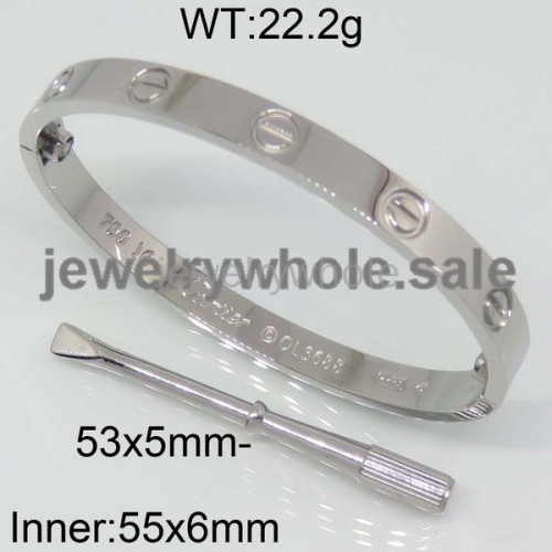 Cartier Bangle  PZ111937vika-317