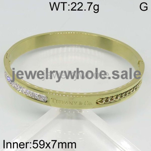 Tiffany  Bangle  PZ111939vila-317