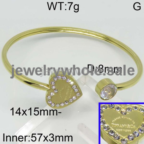 Tiffany  Bangle  PZ111940viia-317