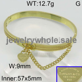 Tiffany  Bangle  PZ111942vila-317