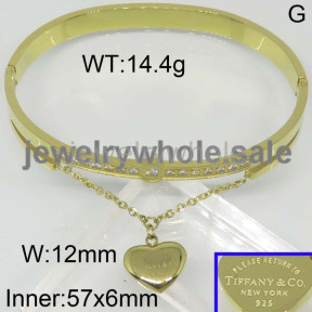 Tiffany  Bangle  PZ111943vila-317