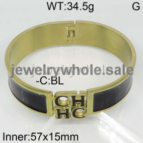 CH Bangle  PZ111945vima-317