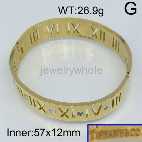 Tiffany Bangle  PZ114346bika-317