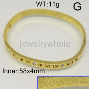 Tiffany Bangle  PZ114351bika-317