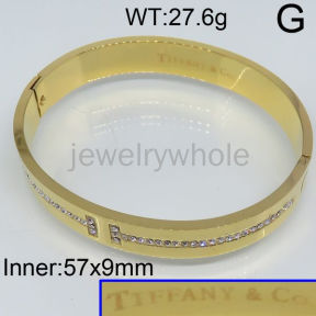 Tiffany Bangle  PZ114352vina-317