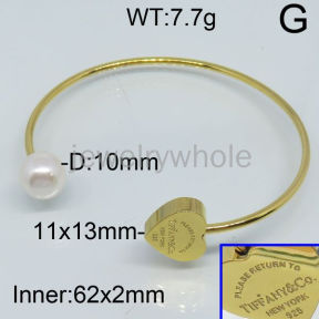 Tiffany Bangle  PZ114353aivb-317