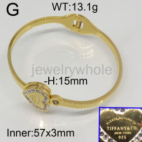 Tiffany  Bangle  PZ114646vihb-434