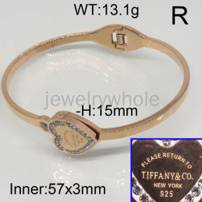 Tiffany  Bangle  PZ114647vihb-434