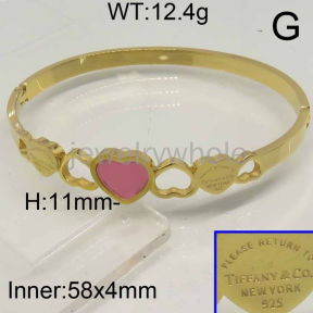 Tiffany Bangle  PZ114863vihb-434