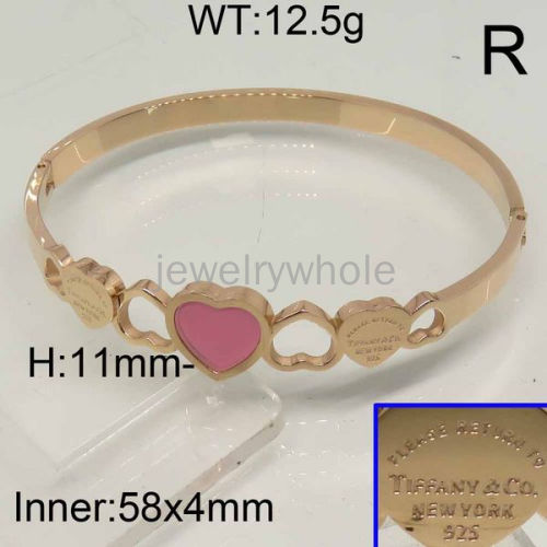 Tiffany Bangle  PZ114864vihb-434