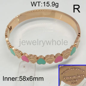 Tiffany Bangle  PZ115219vhov-367