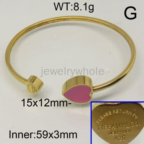 Tiffany Bangle  PZ115869ahlv-434