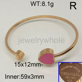 Tiffany Bangle  PZ115870ahlv-434