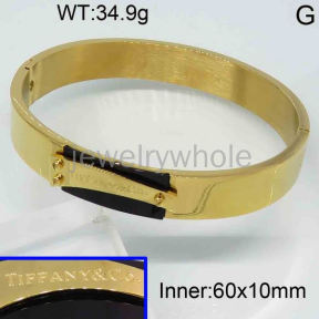 Tiffany Bangle  PZ118676vina-317