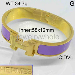 Hermes Bangle  PZ119323vila-473