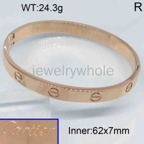 Cartier Bangle  PZ119342vhov-473