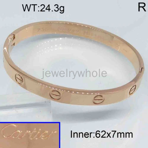 Cartier Bangle  PZ119342vhov-473