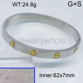 Cartier Bangle  PZ119343vhov-473