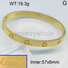 Cartier Bangle  PZ119351vhnv-473