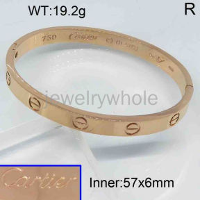 Cartier Bangle  PZ119352vhov-473