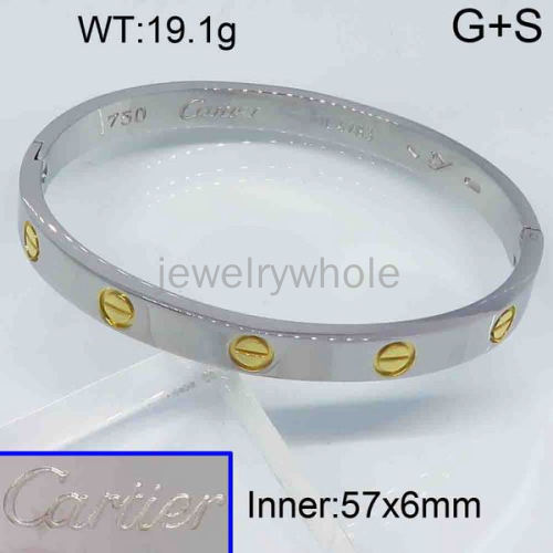 Cartier Bangle  PZ119353vhov-473