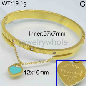 Tiffany  Bangle  PZ119359vihb-473