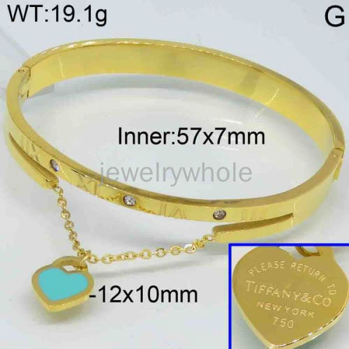 Tiffany  Bangle  PZ119359vihb-473