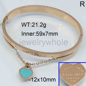 Tiffany  Bangle  PZ119360biib-473